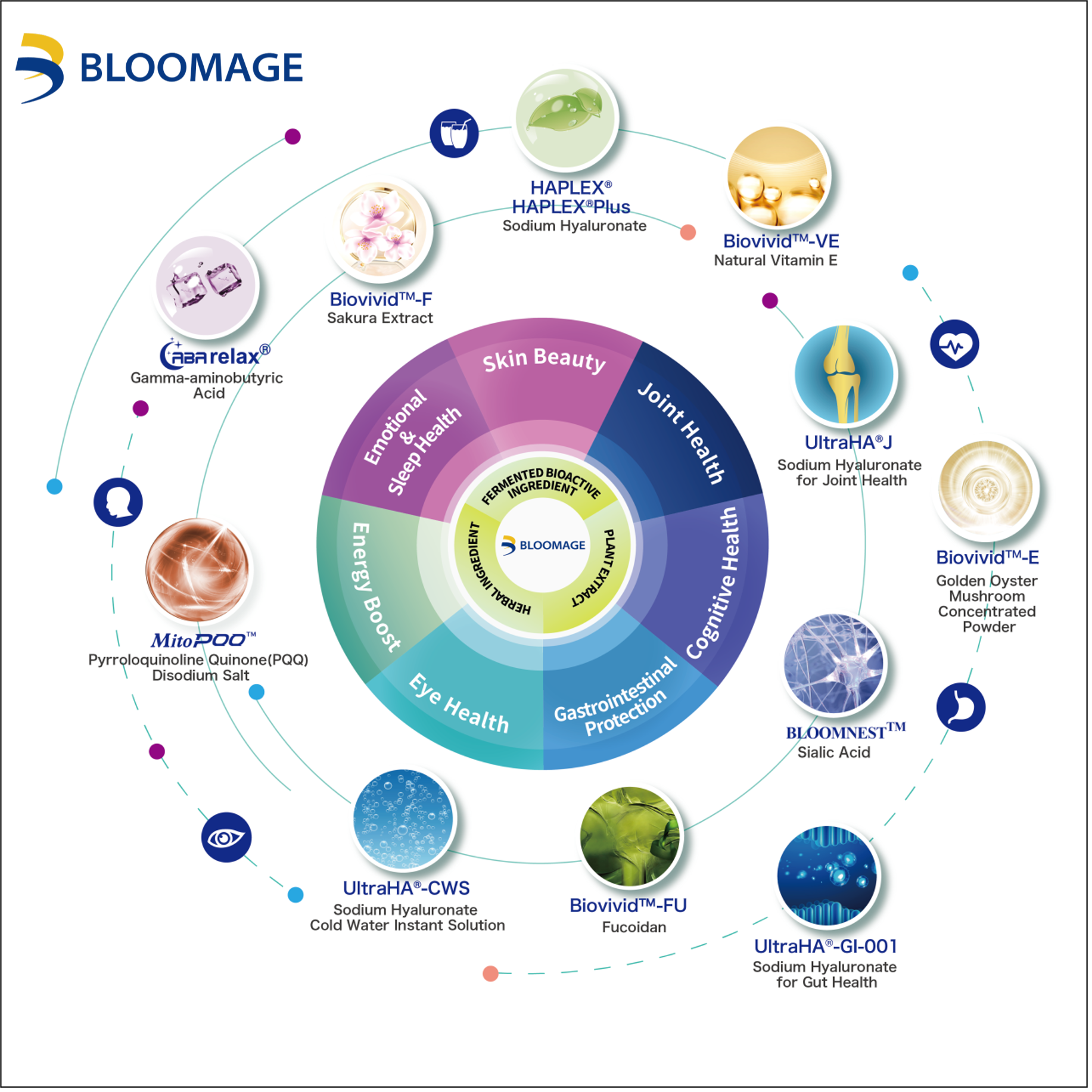 Bloomage Showcases New Functional Food Ingredients for the Japanese Market at HI Japan 2024