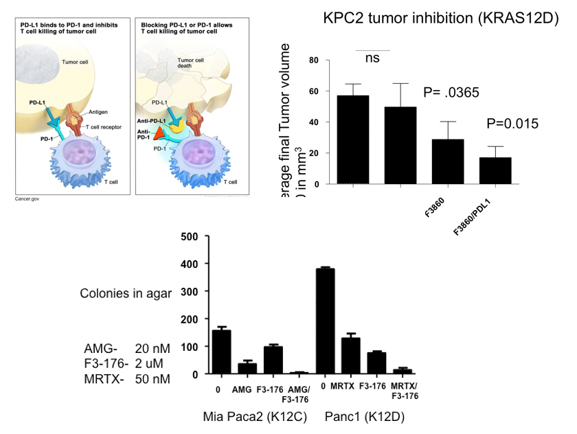 F3 Compounds Cooperate with Checkpoint Inhibitors and Other RAS Inhibitors