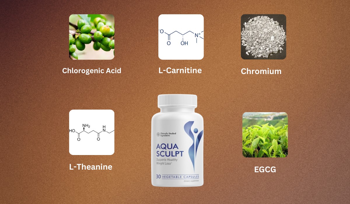 Aqua Sculpt Ingredients