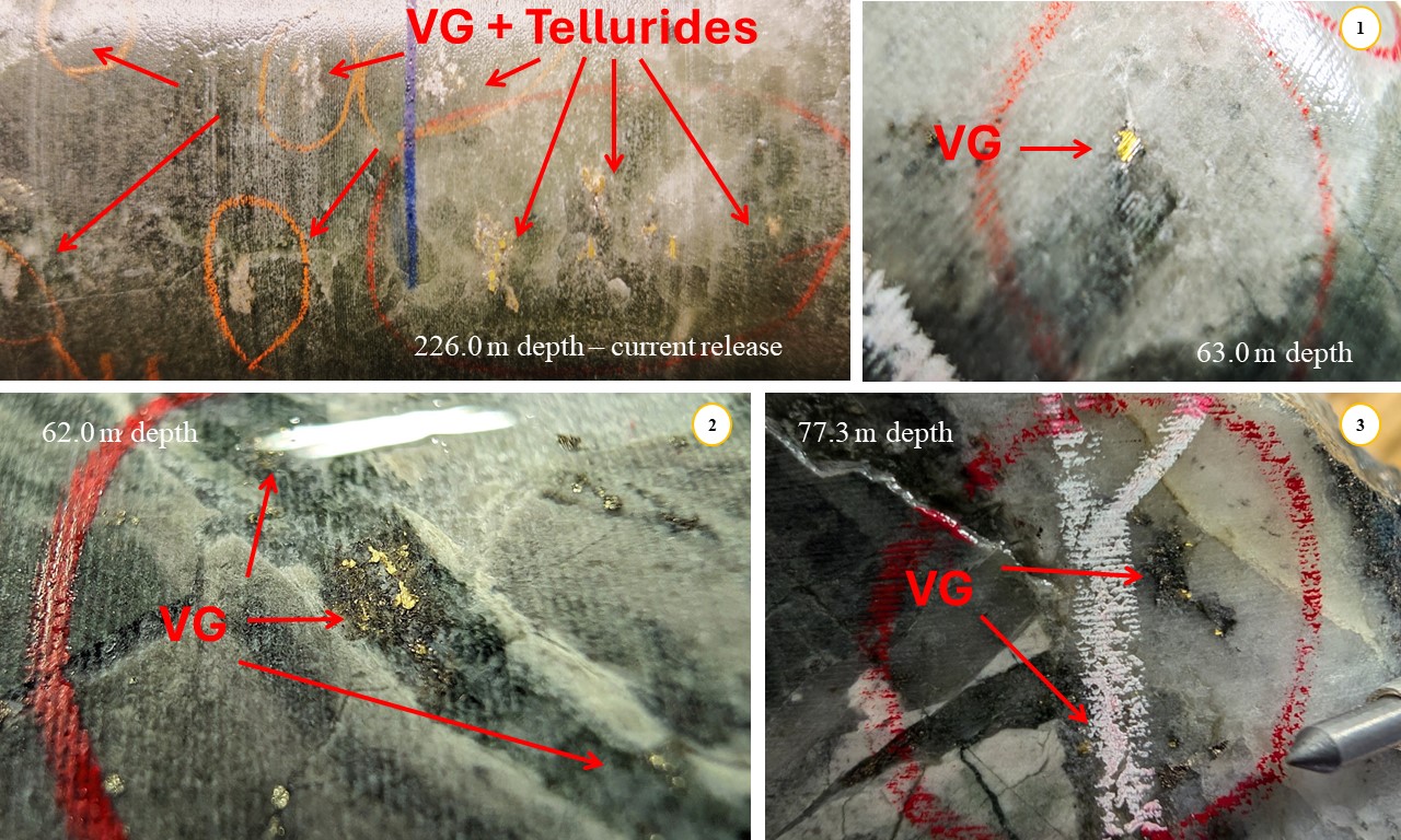 Figure 5: Visible Gold Core Photos of Hole ALJ-24-012 