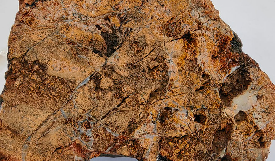 Figure 4 image