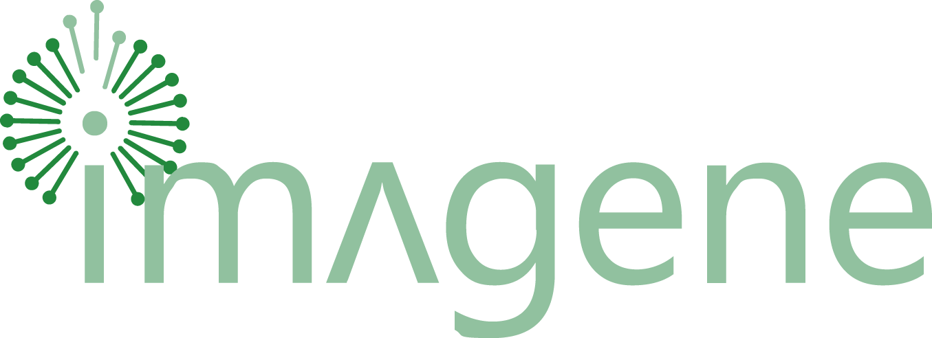 ImageneBio Reports Third Quarter 2025 Financial Results and Provides IMG-007 Program Update Following Closing of Reverse Merger, Concurrent Financing, and Strengthening of Management Team