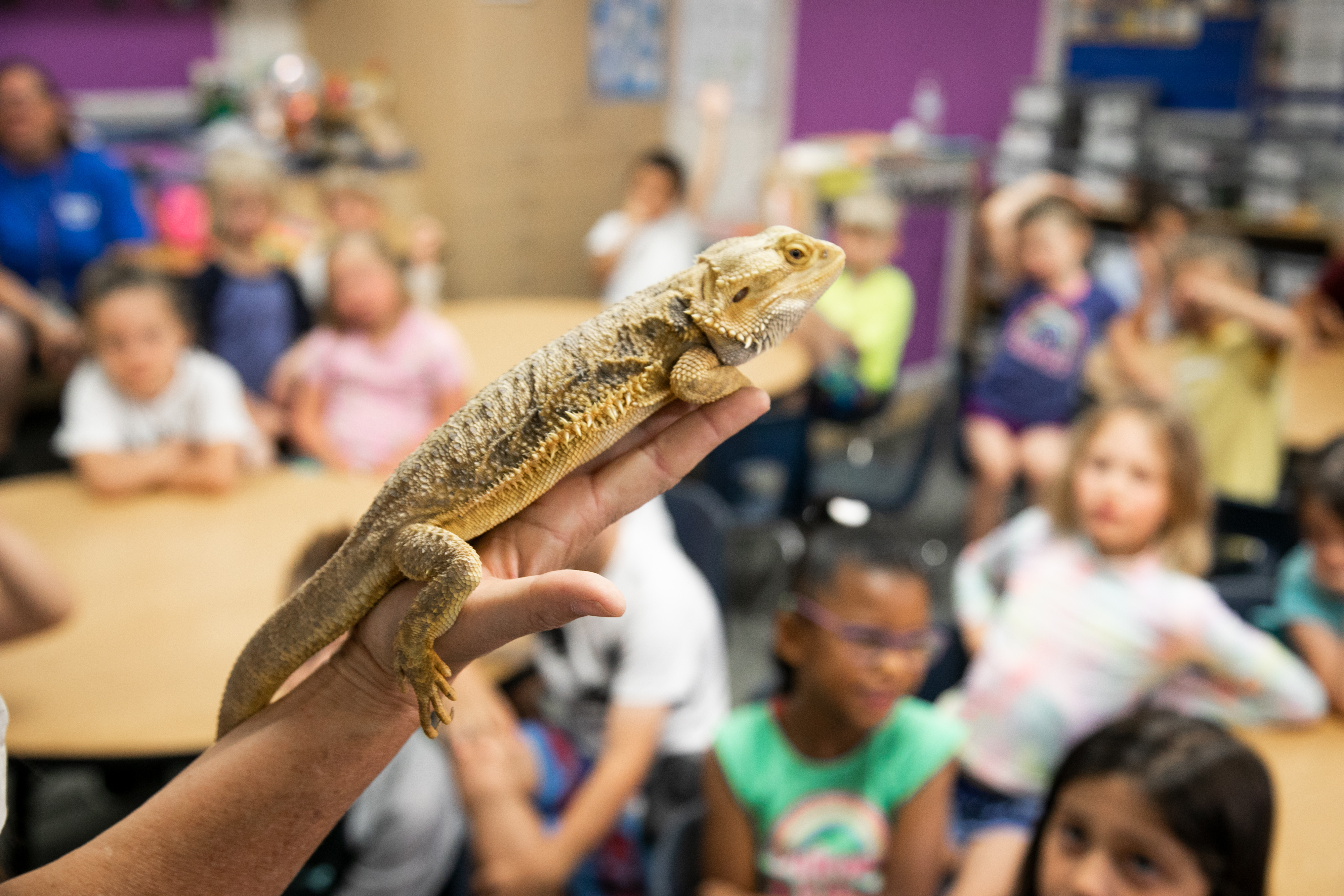 The Pets in the Classroom Grant Program