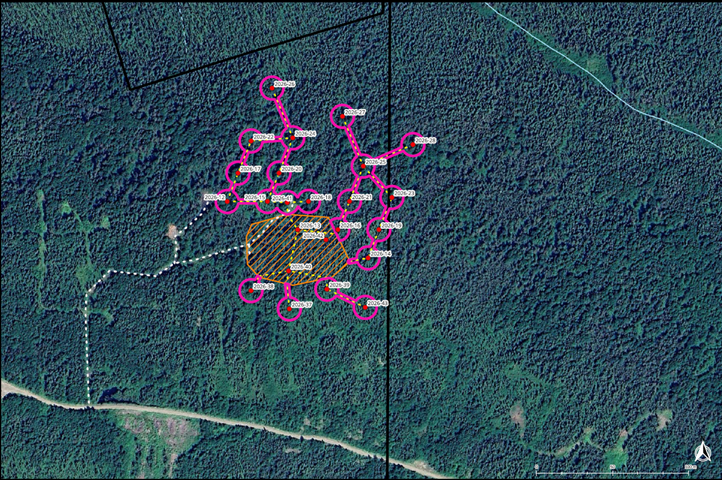 Figure 4 image