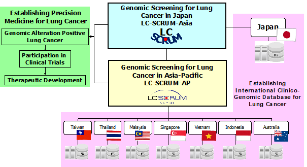 Clinical development based on LC-SCRUM-Asia/AP and establishment of an international clinico-genomic database for lung cancer