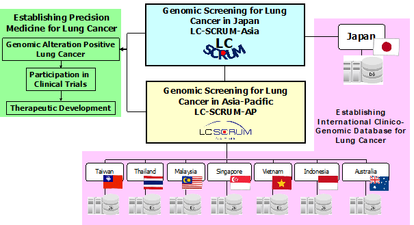 Clinical development based on LC-SCRUM-Asia/AP and  establishment of an international clinico-genomic database for lung cancer