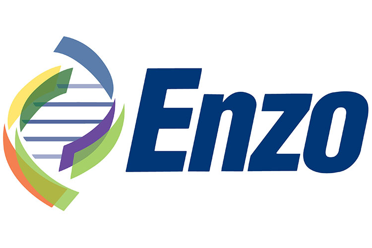 Enzo Biochem Reports Significant Progress towards Completing the Clinical Lab Asset Sale
