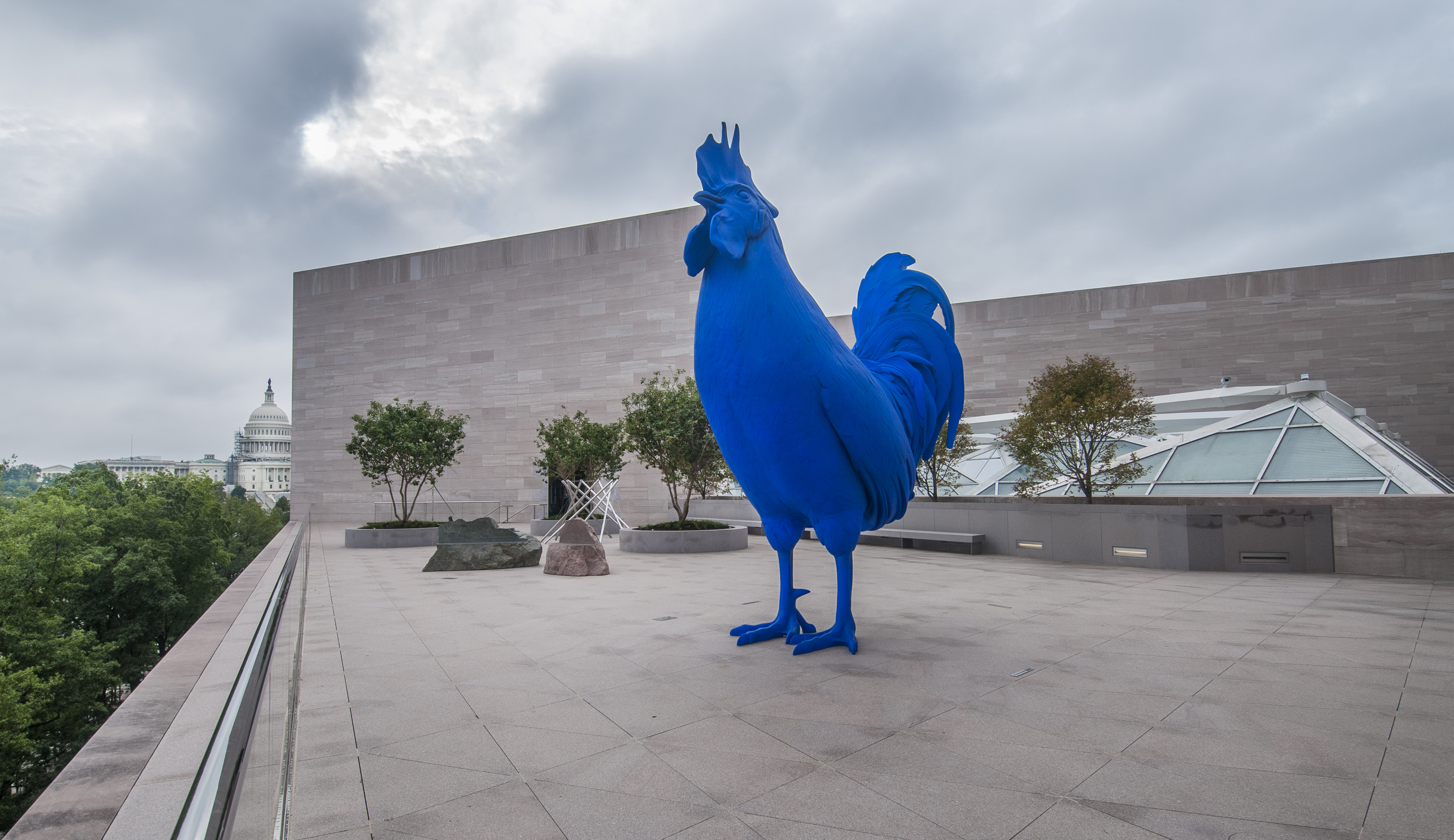 "Hahn/Cock" (2013) by Katharina Fritsch on the National Gallery of Art’s East Building Roof Terrace
glass fiber reinforced polyester resin fixed on stainless steel supporting structure
overall: 440.06 × 440.06 × 149.86 cm (173 1/4 × 173 1/4 × 59 in.)
gross weight: 740.044 kg (1631.5 lb.)
National Gallery of Art, Washington
Gift of Glenstone Foundation 
