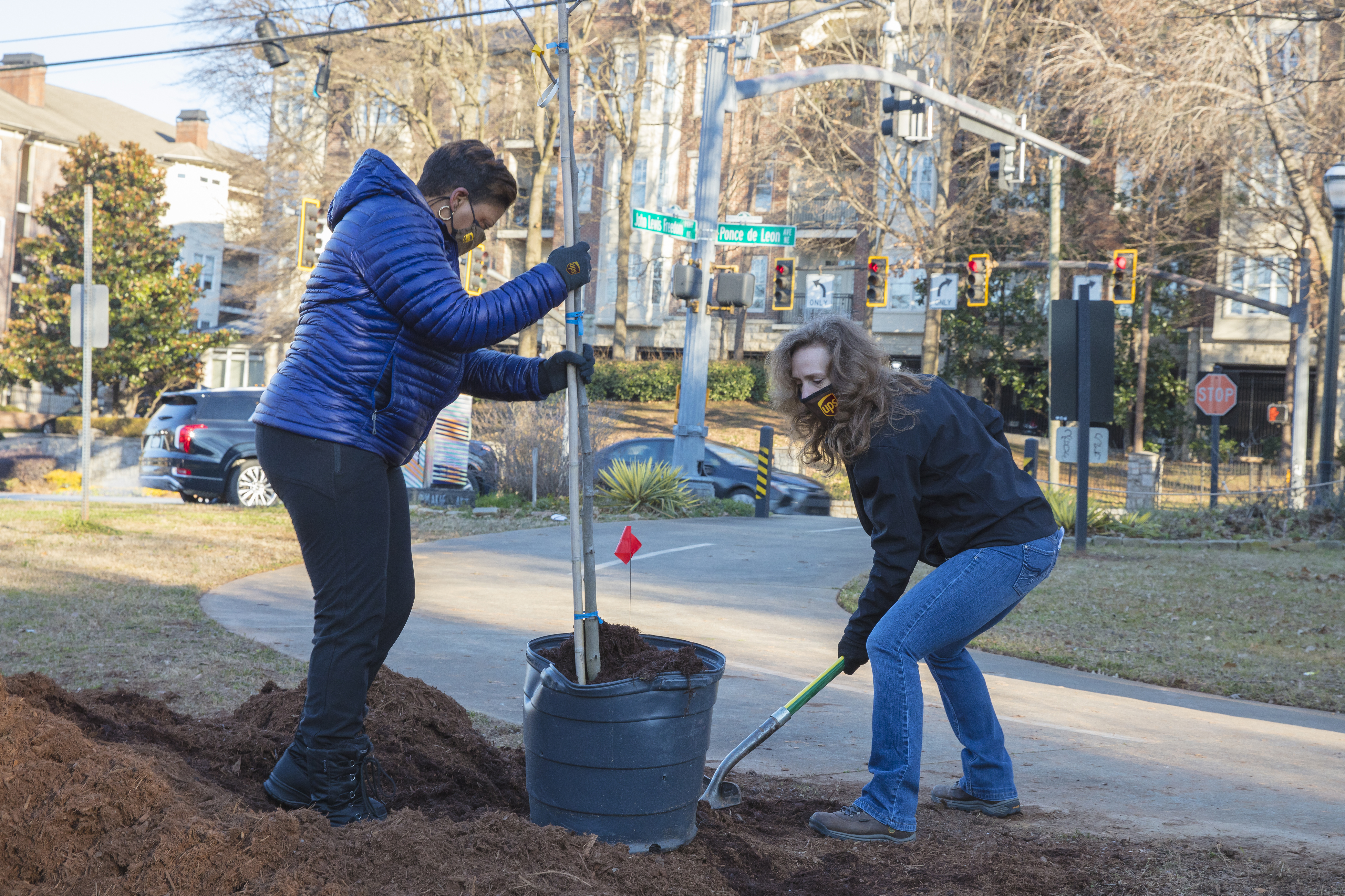 UPS Tree Planting