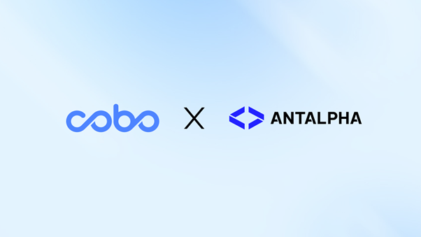 Cobo x Antalpha