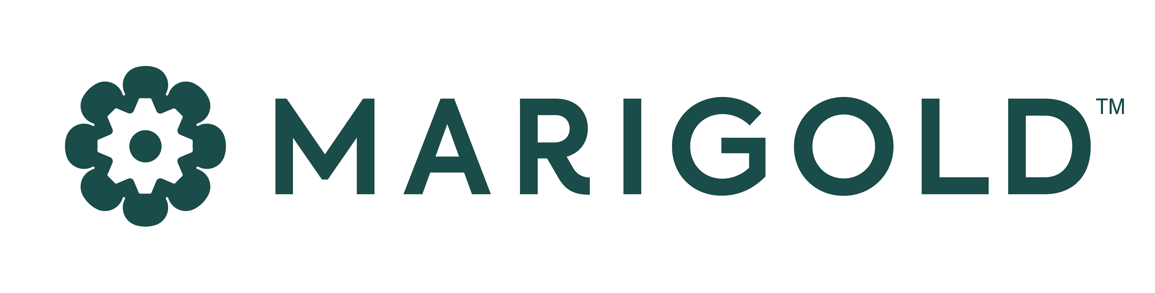 Marigold Redefines Relationship Marketing with AI-Powered