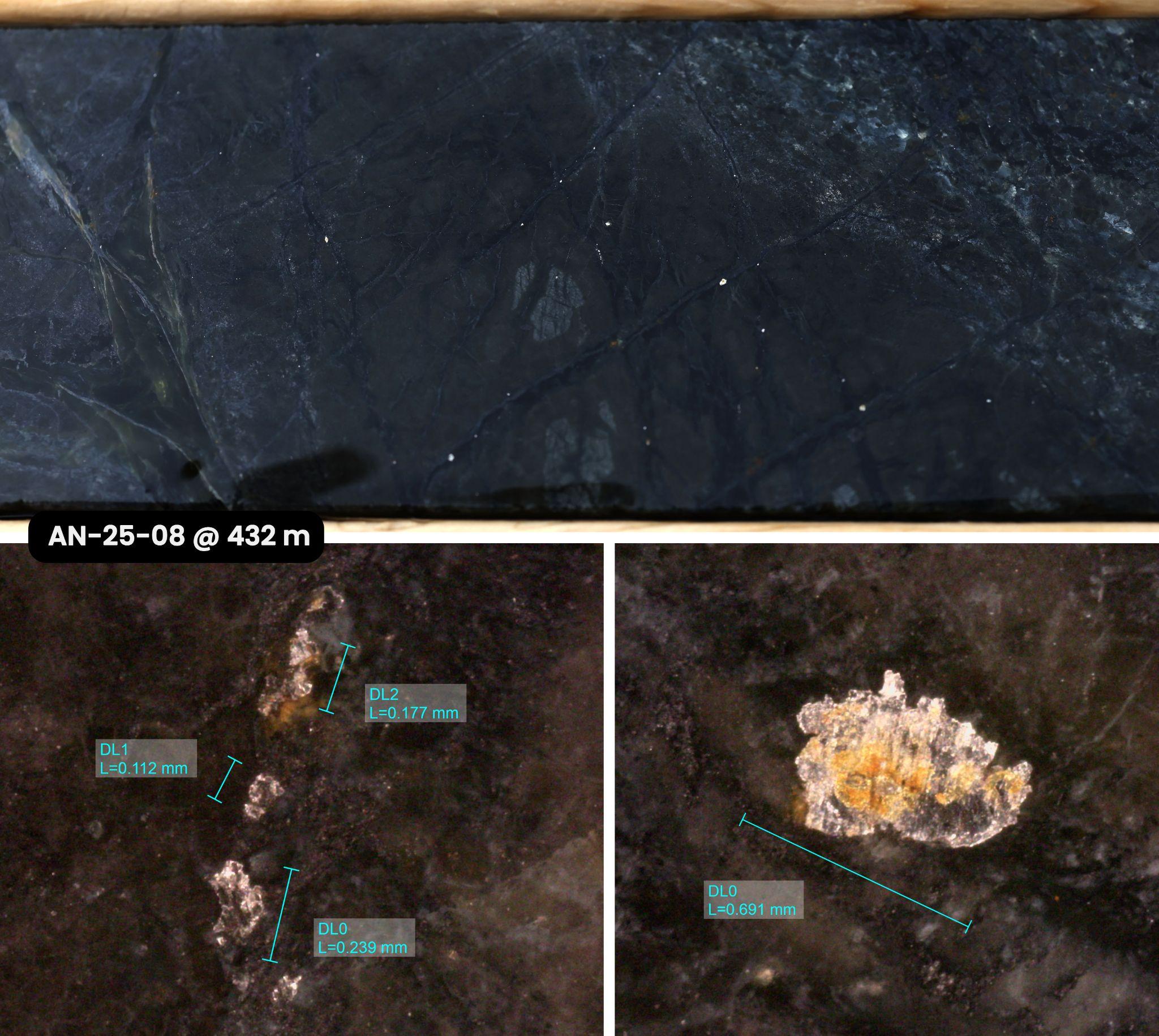 Figure 5 image