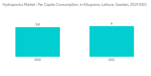 Hydroponics Market Hydroponics Market Per Capita Consumption In Kilograms Lettuce Sweden 2019 2021