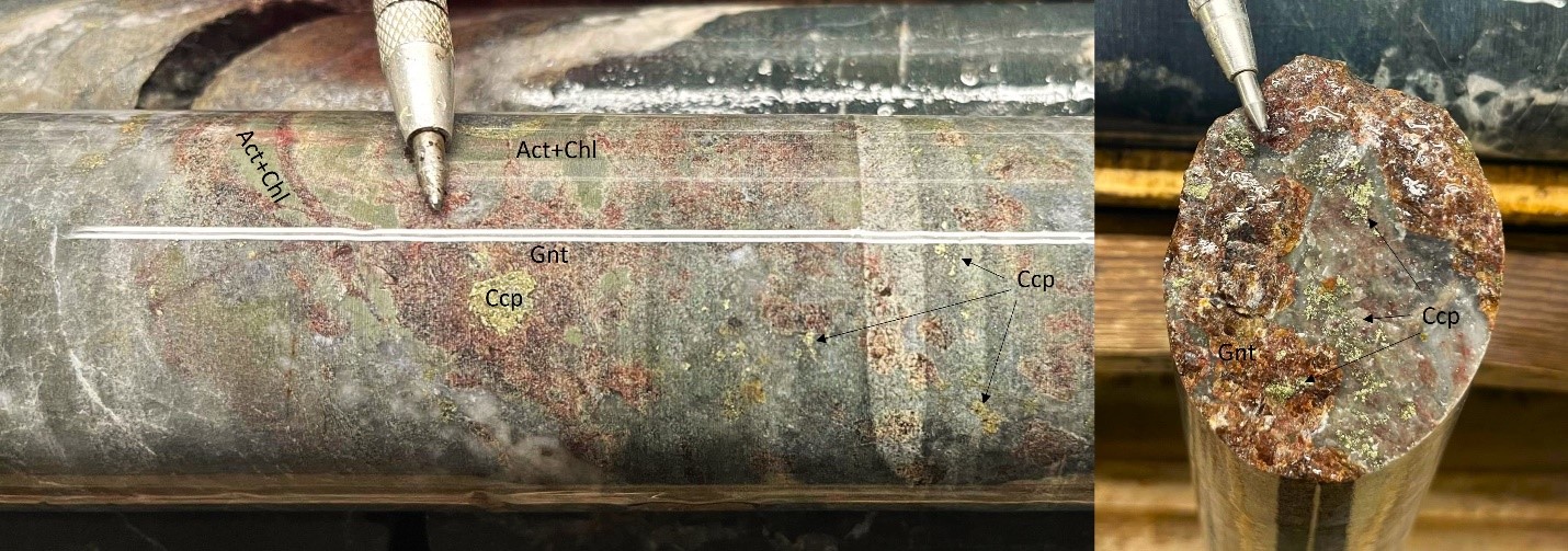 Andradite garnet (“Gnt”), and variably chloritized actinolite (“Act + Chl”) with chalcopyrite mineralization in hole AW-23-106.