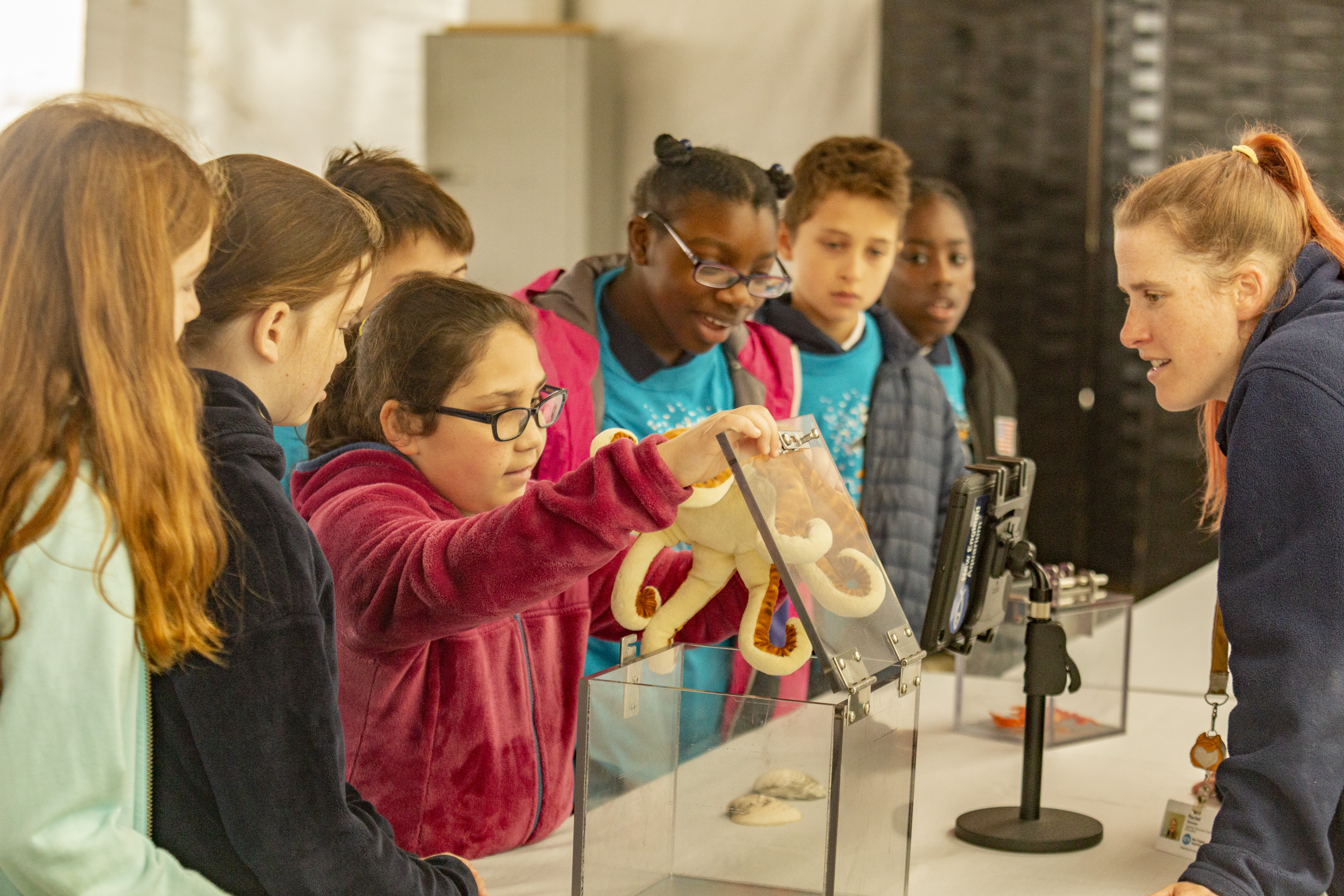 During the celebration event at the New England Aquarium, students explored the aquarium with their teachers, viewed an IMAX movie, and engaged in ocean-themed math games. 