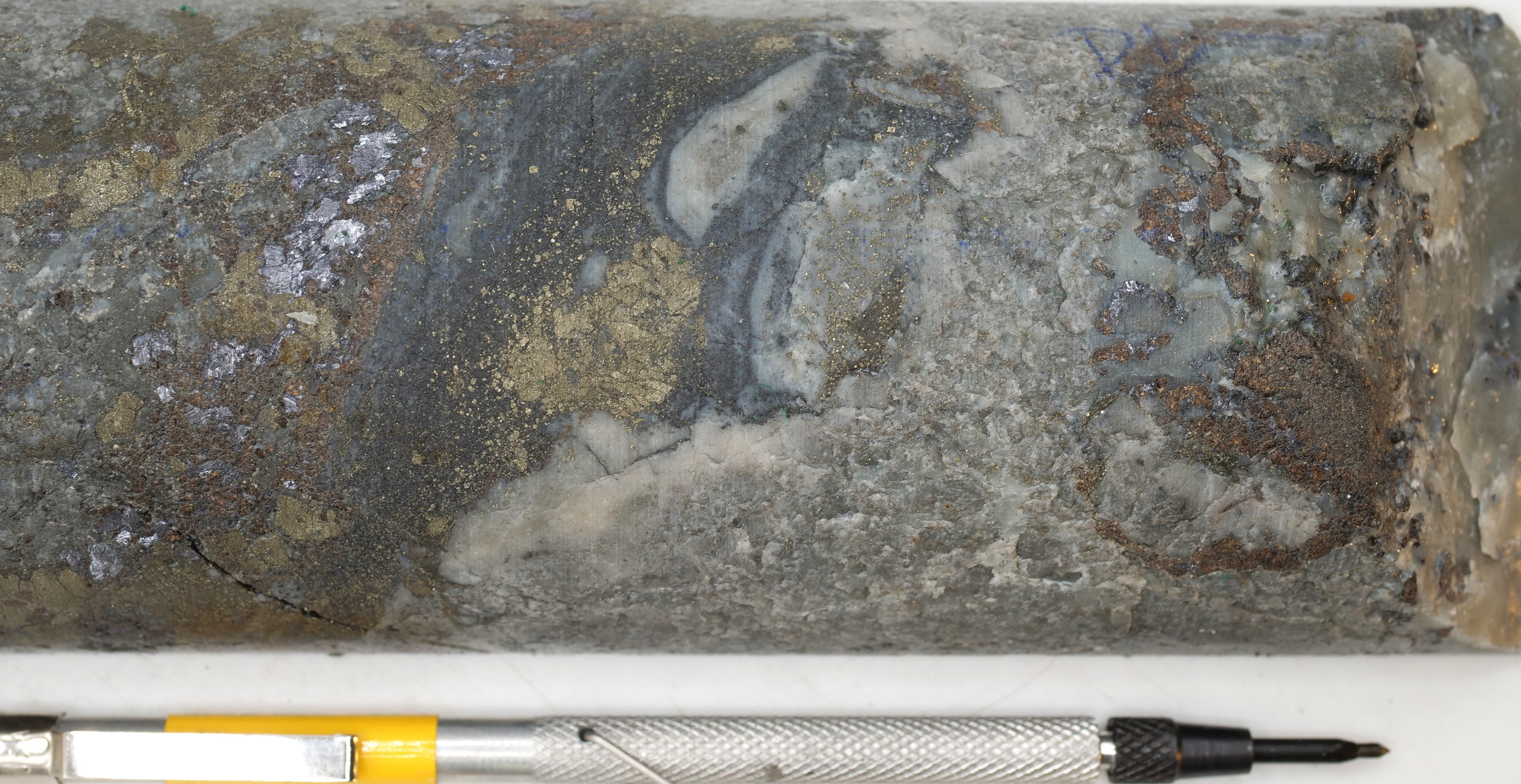 Figure 1 image