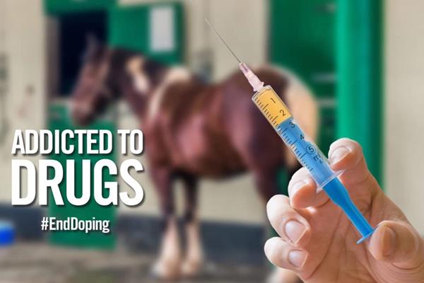 "American Horseracing is Addicted to Drugs, and it's time for an intervention." - Marty Irby, Animal Wellness Action