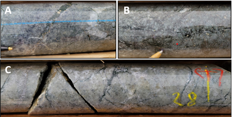 Close-up photographs of mineralized, silicified intermediate intrusive rocks with disseminated pyrite and quartz-carbonate-chlorite-pyrite veinlets. A) ~67.8 m in EC-23-02 from interval grading 1.0 m of 14.3 g/t Au from 67.0 m ; B) ~52.9 m in EC-23-05 from interval grading 2.0 m of 1.50 g/t Au from 52.0 m; C) ~28 m in EC-23-05 from interval grading 0.7 m of 2.01 g/t Au from 27.3 m.