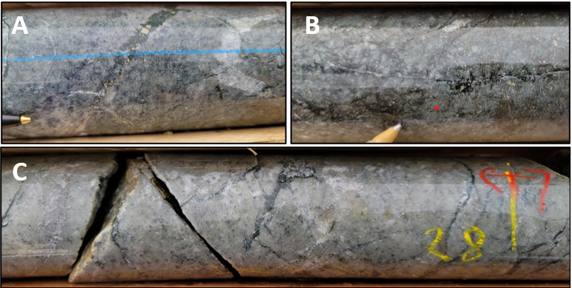 Close-up photographs of mineralized, silicified intermediate intrusive rocks with disseminated pyrite and quartz-carbonate-chlorite-pyrite veinlets. A) ~67.8 m in EC-23-02 from interval grading 1.0 m of 14.3 g/t Au from 67.0 m ; B) ~52.9 m in EC-23-05 from interval grading 2.0 m of 1.50 g/t Au from 52.0  m; C) ~28 m in EC-23-05 from interval grading 0.7 m of 2.01 g/t Au from 27.3 m.