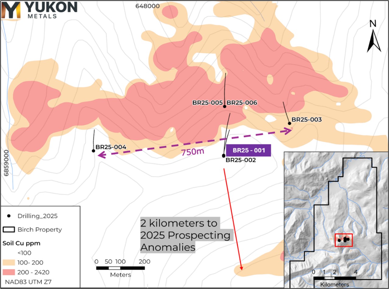 Figure 1 image