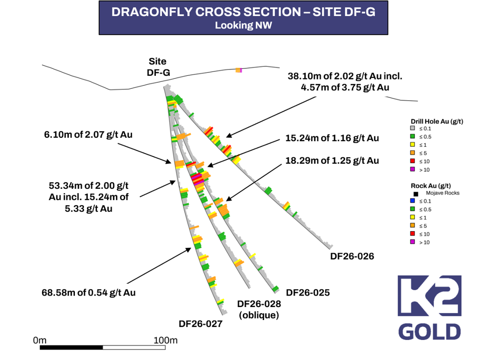 Dragonfly Cross Section