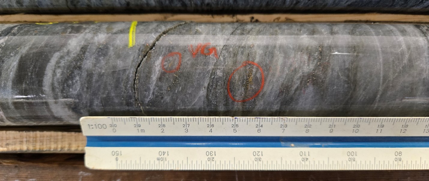 Visible gold in a 15-cm wide quartz vein in the Jubilee Shear in SD-25-532 approximately 100 m up-plunge of the MRE with assays pending