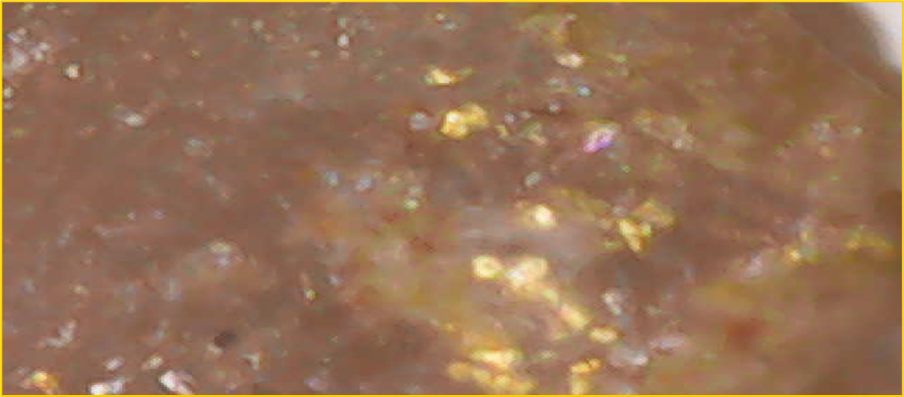 Photomicrograph of visible gold hosted in silica from drillhole 23BT004 at the Zeca Souza Discovery. The field of view is estimated to be 5 mm.