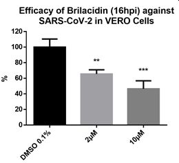 RBL Figure 1