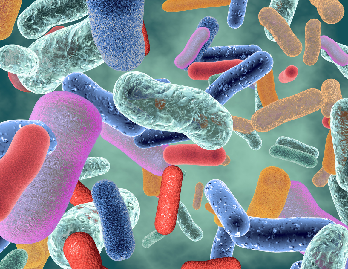 Gut Microbes