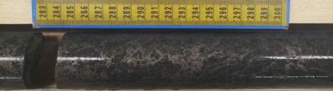 Plate 1: Net texture pyrrhotite-pyrite mineralization observed in KF21015 (115.80m)