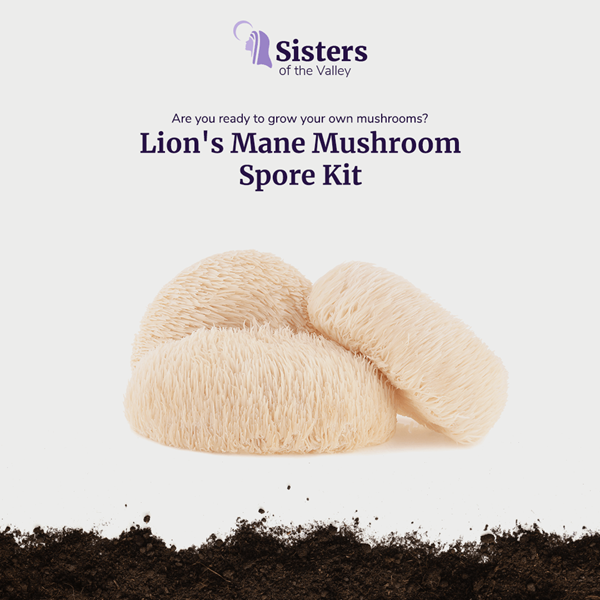 Lion's Mane Mushroom Spore Kit