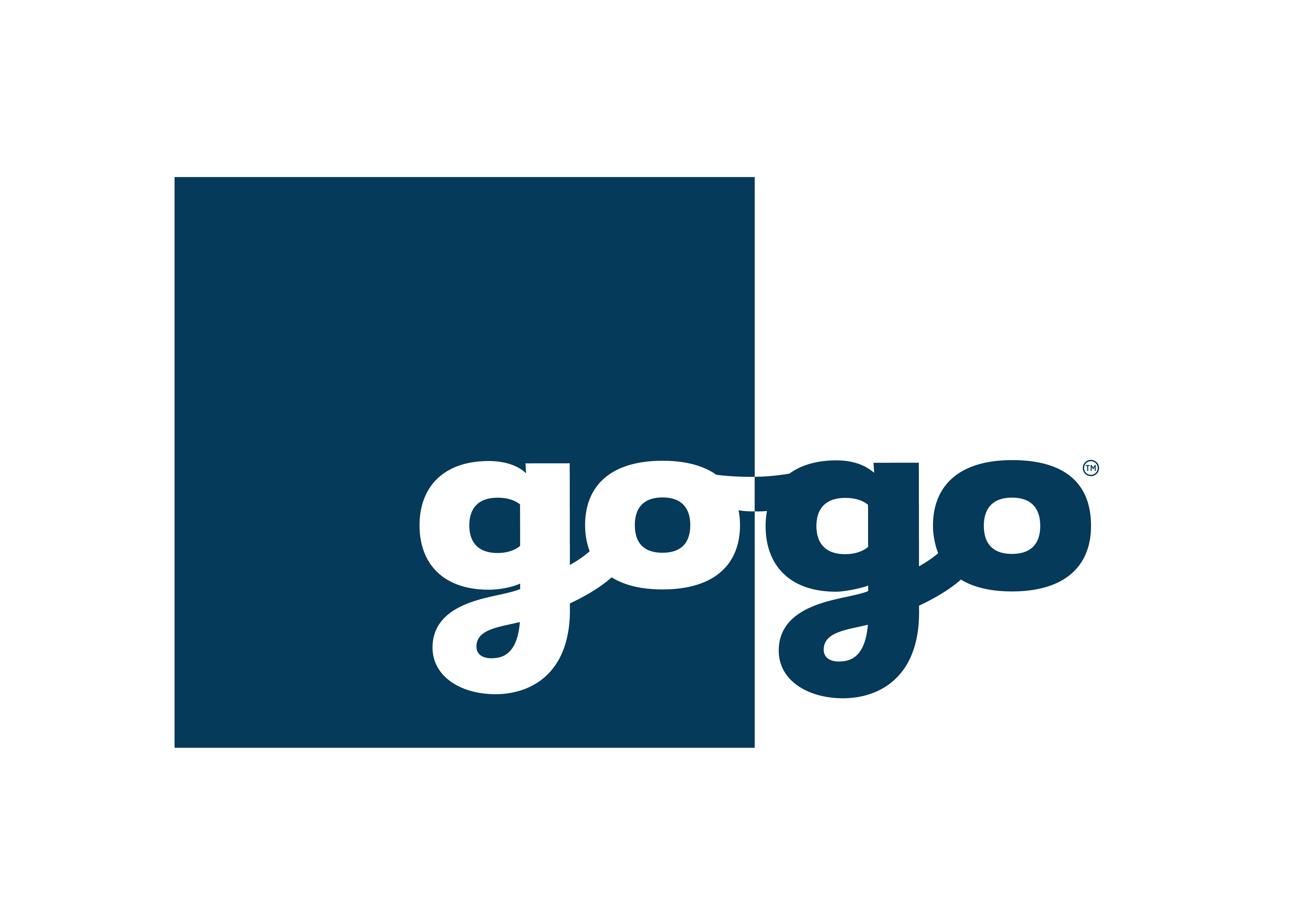 Gogo issues year-end