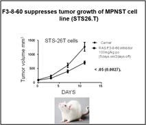 F3-8-60 Suppresses MPNST cell line tumor growth