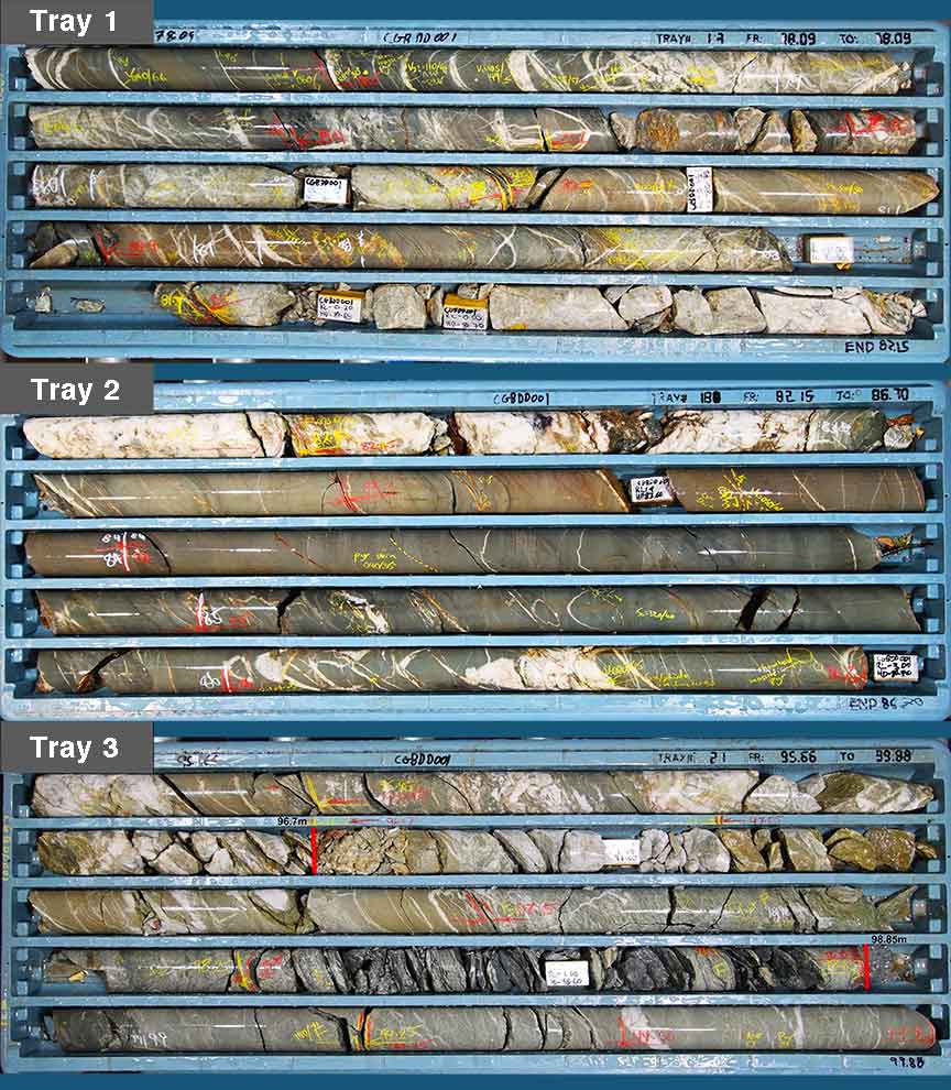 Figure 8 Tray 1 for Home Reef horizon 78.9-82.95m in GBDD001 (see section in figure 6). Tray 2 for Home Reef horizon 78.9-82.95m in GBDD001 (see secti