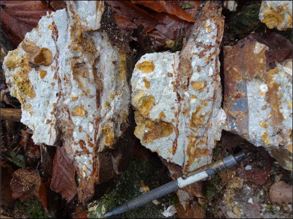 Hydrothermally altered rhyolite pyroclastic rock from the area of the exposed cryptodome including a chalcedonic veinlet with finely disseminated marcasite in the far-right piece (above scribe end), 506g/t As, 107g/t Sb.