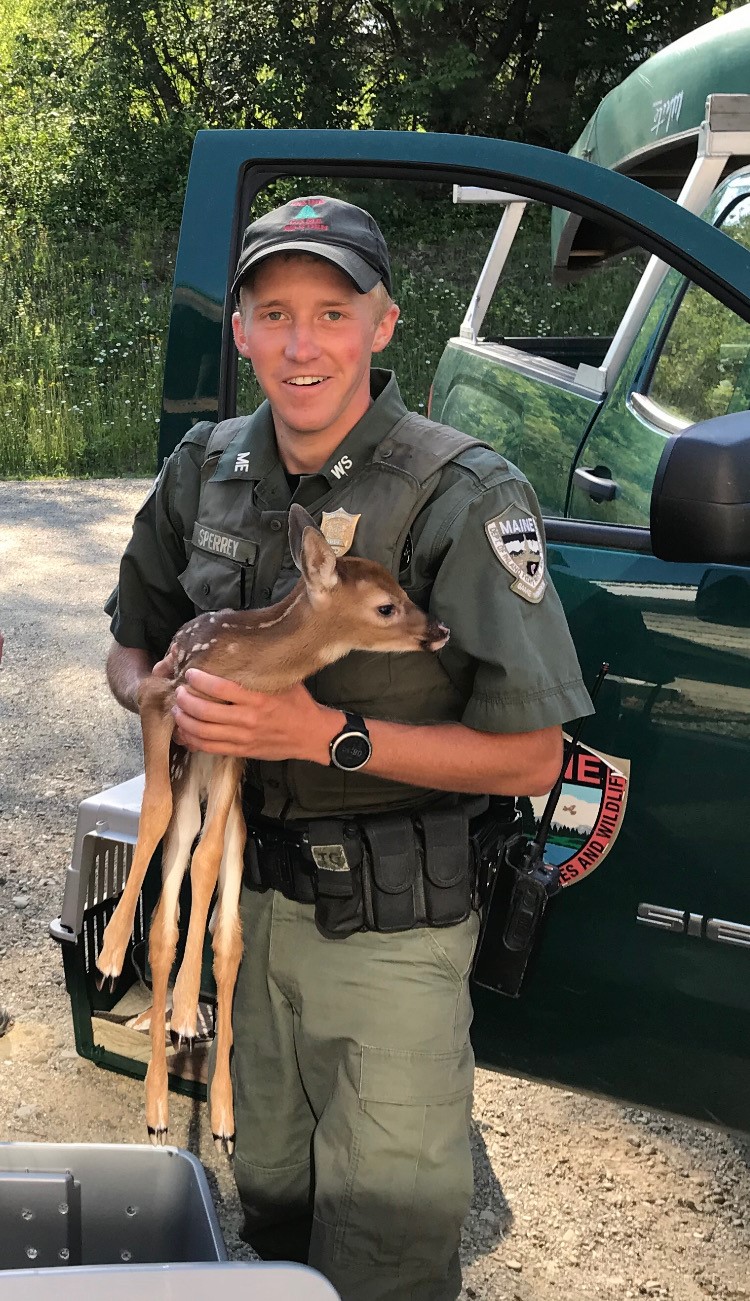 Brandon Sperrey is a district game warden with the Maine Warden Service, a part of the Maine Department of Inland Fisheries and Wildlife (MDIFW). 

This department, preserves, protects, and enhances the inland fisheries and wildlife resources of the state. Established in 1880 to protect big game populations, MDIFW has since evolved in scope to include protection and management of fish, non-game wildlife, and habitats, as well as restoration of endangered species like the bald eagle.

In addition to its conservation duties, MDIFW is also responsible for enabling and promoting the safe enjoyment of Maine's outdoors — from whitewater rafting to boating, snowmobiling, hunting, fishing, and wildlife observation.

