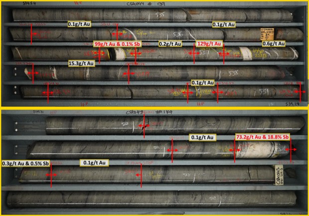 Core tray photographs of the Sub-KC 405 Lode intercepts from drillholes CSK043 (bottom) and CSK044 (top). Intervals with grade above detection levels are labelled. Note the bedding-parallel nature of the major veins, due to reactivation of early laminated quartz structures acting as host structure, and the additional occurrence of high grade visible gold in very narrow veinlets (CSK044, 537m). Please refer to Appendix 1 for the relevant assay results relating to Figure 7.