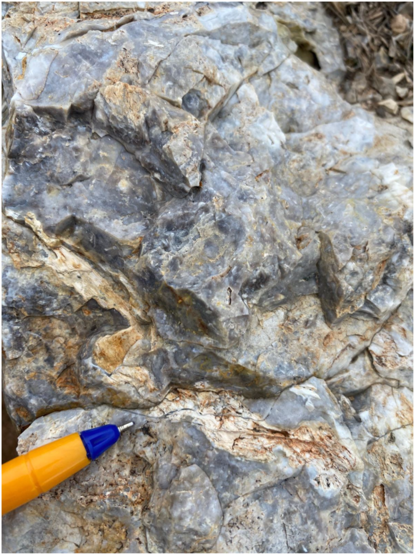 Stratabound chalcedonic silicification 