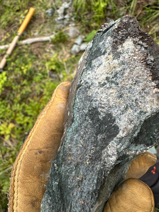 Sample 326361 displaying disseminated malachite mineralization as well as blebby pyrite and chalcopyrite. Analytical results are pending. 578894m Easting, 5488138m Northing, UTM NAD83 Zone 11N.