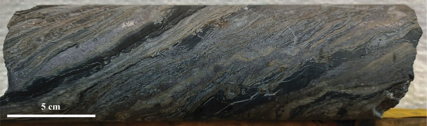 220112 FWZ NR Image 1