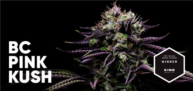 The Flowr Corporation’s BC Pink Kush Wins Top Indica at Inaugural Kind Magazine Awards
