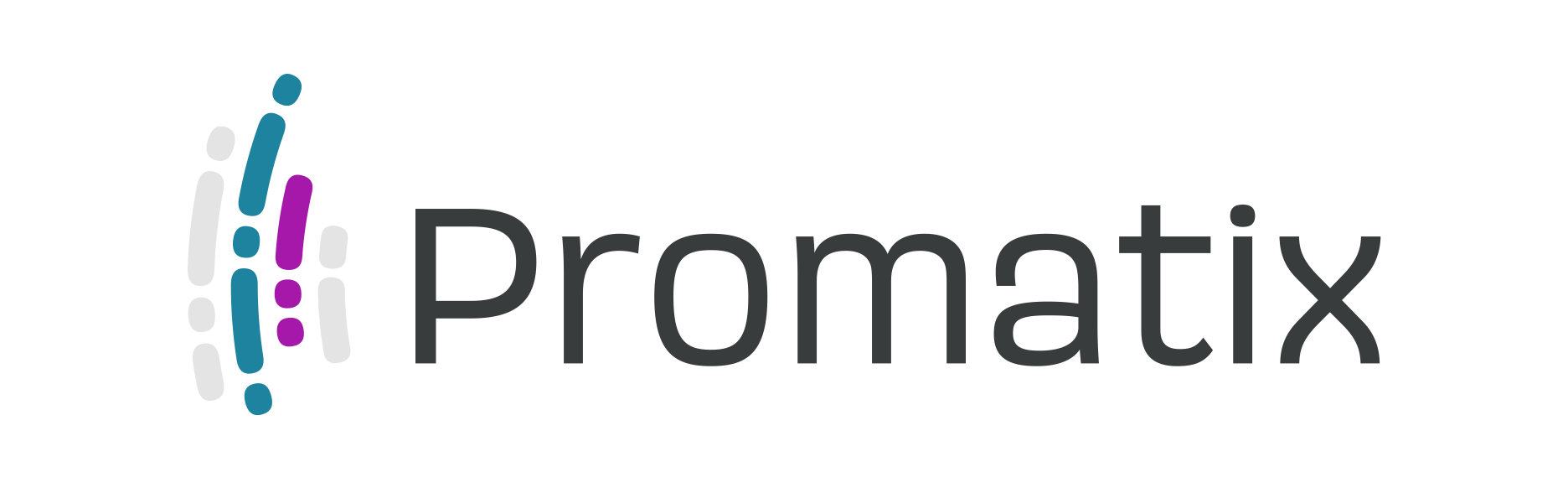 Promatix_logo.png