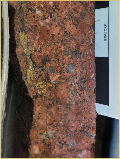 Drillhole 22MT030: Chalcopyrite veinlet and blebs hosted within moderately potassic and trace hematite altered granodiorite at 304.25 metres down the drillhole grading 3.19 g/t gold, 14.10 g/t silver, and 0.76% copper. Chalcopyrite is rimmed by dark mineral interpreted to be chlorite.