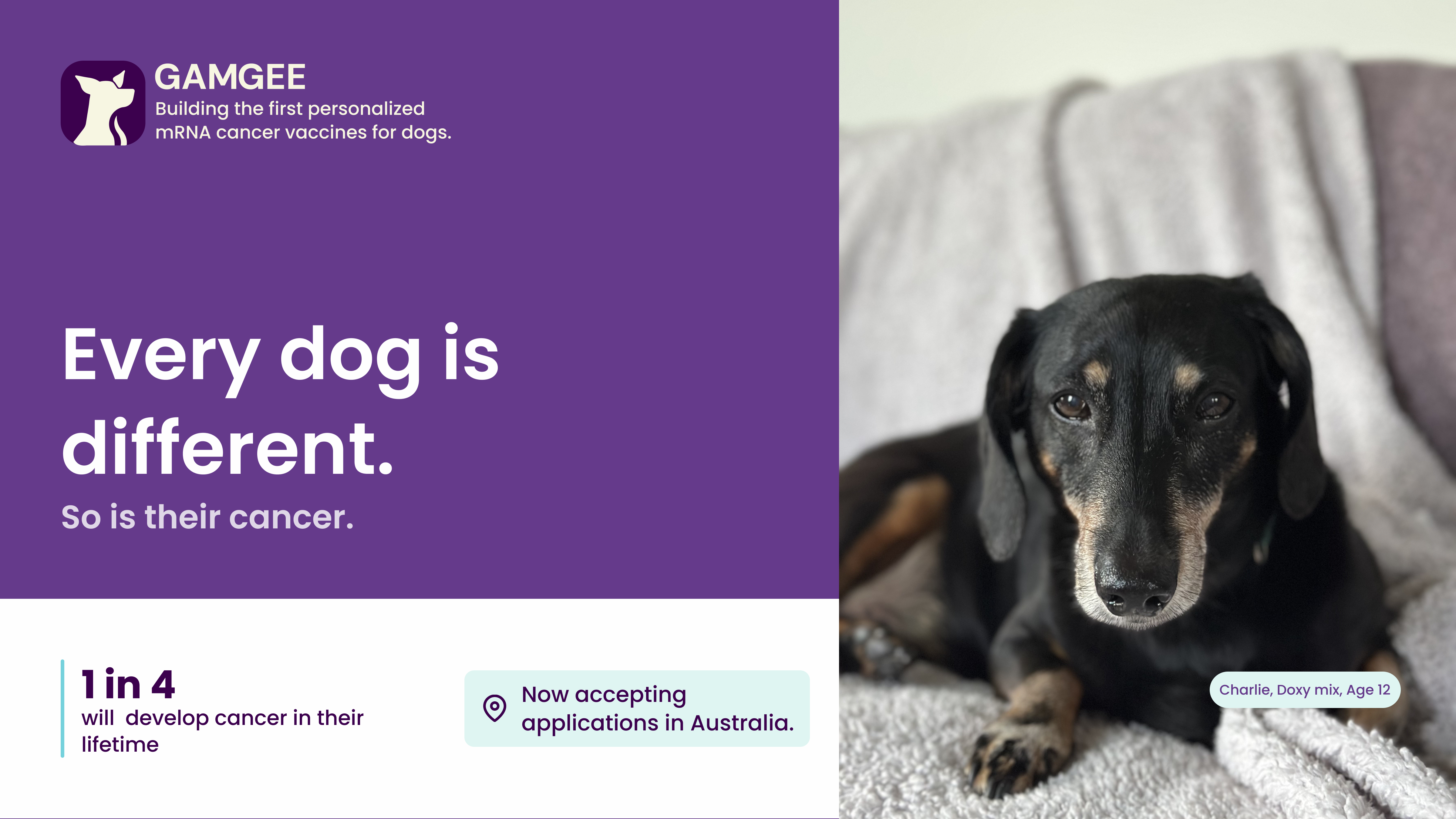 Gamgee media: Gamgee is building the first personalized mRNA cancer vaccines for dogs