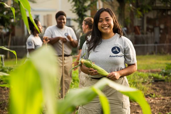 An AmeriCorps member joins her teammates to harvest corn in an urban community garden. 