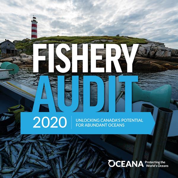Oceana Canada Fishery Audit 2020