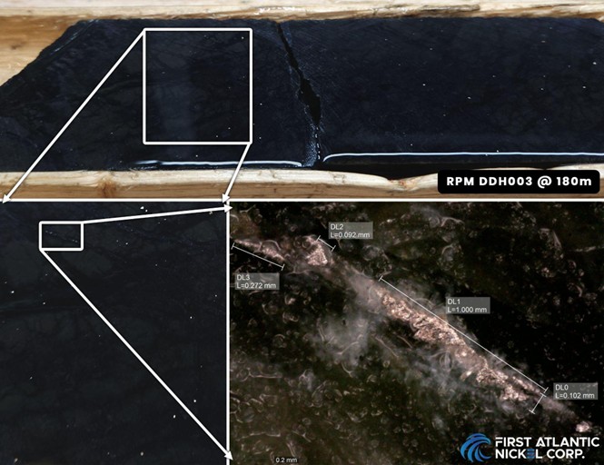 Figure 3 image