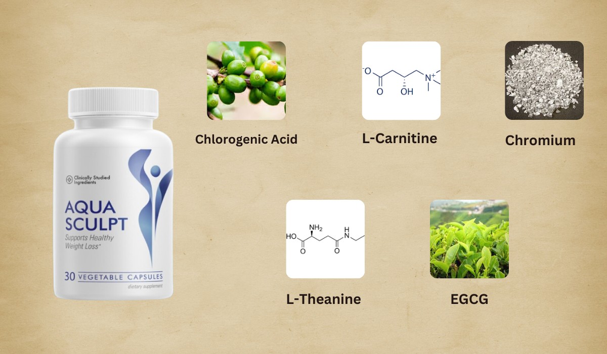 Aqua Sculpt Ingredients