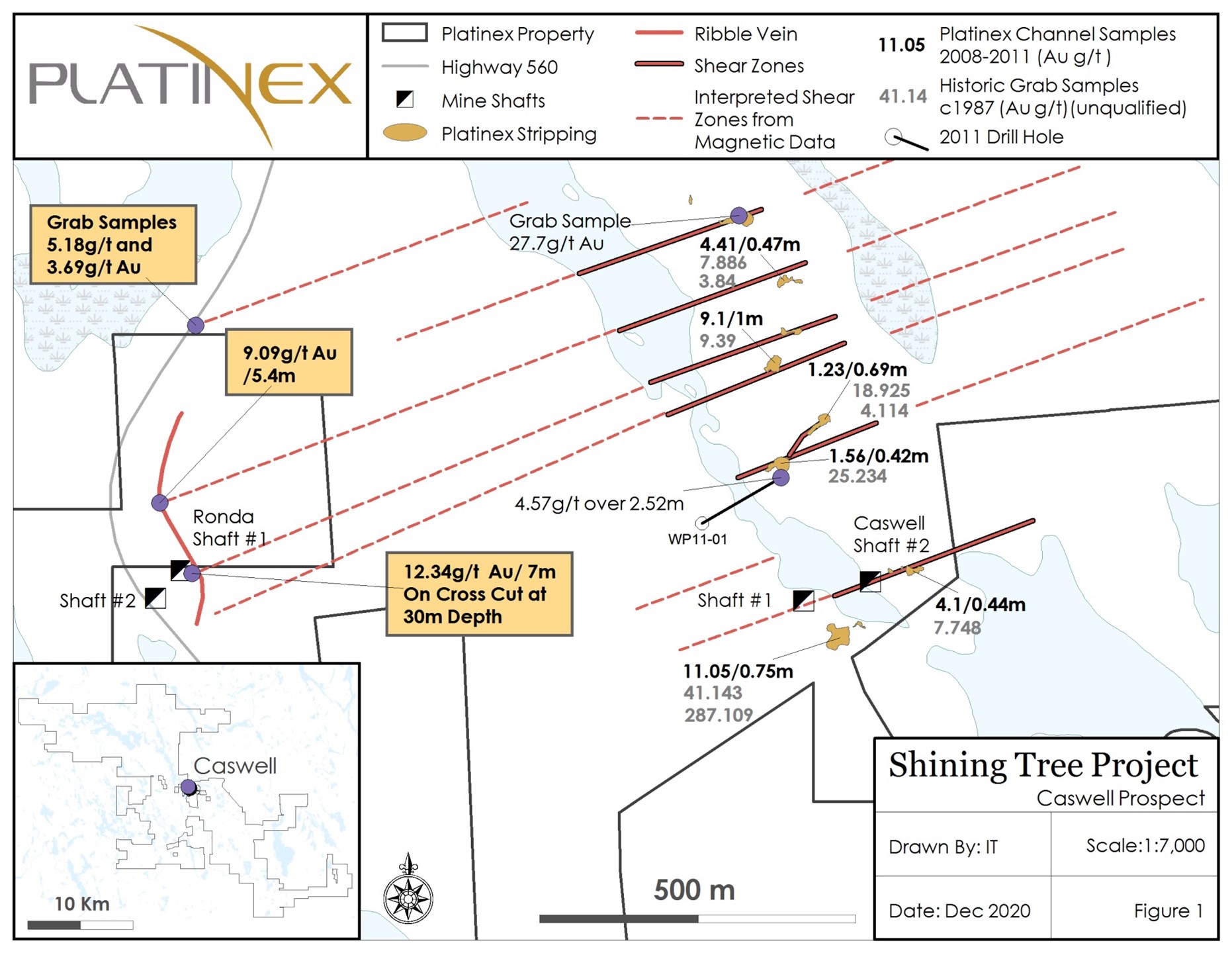 Platinex Project Holdings