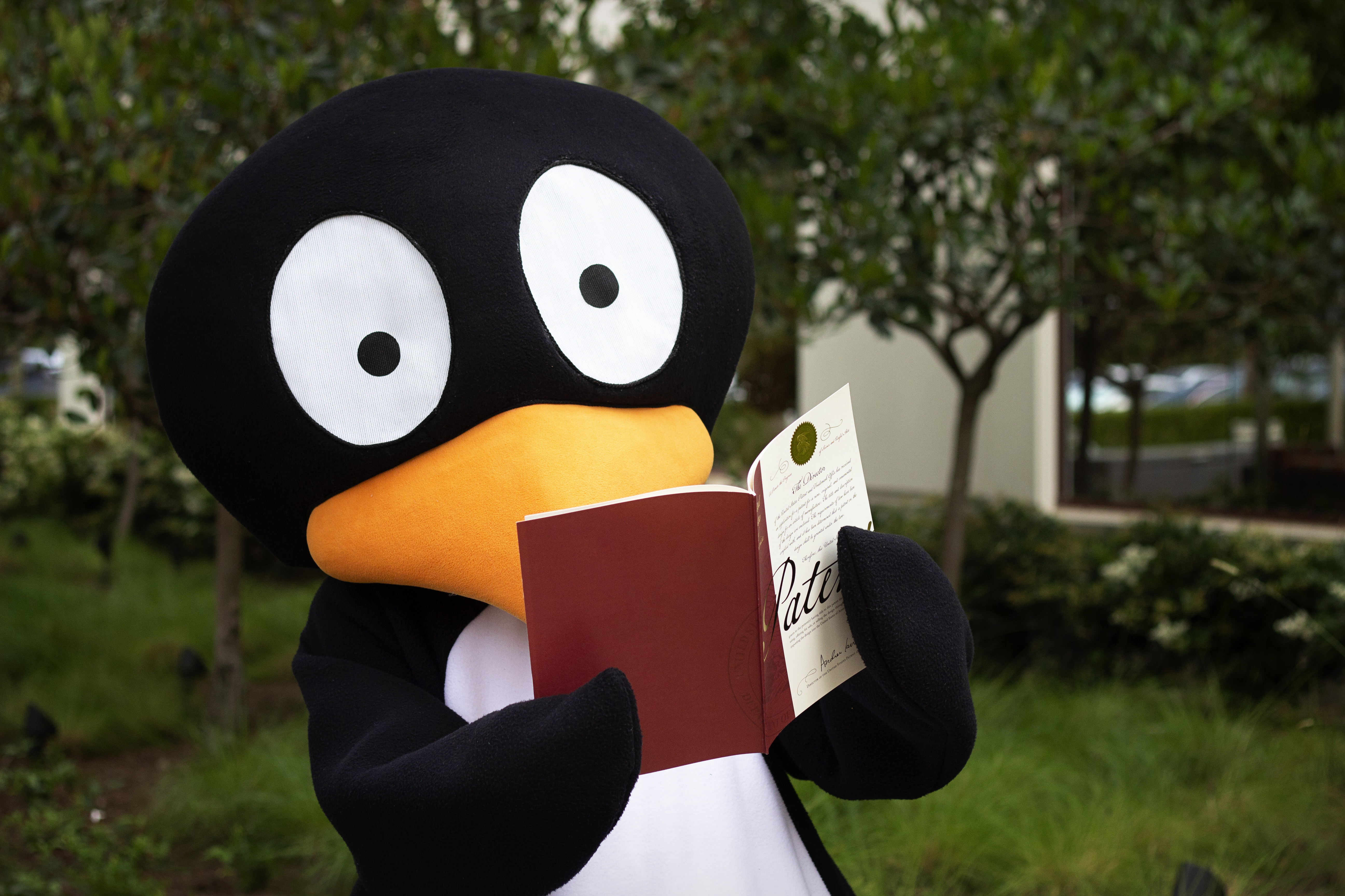 JiJi, beloved ST Math mascot, holds MIND’s latest patent on spatial-temporal teaching approach.